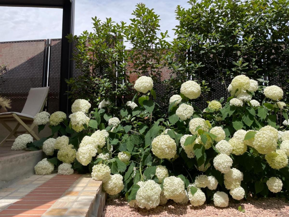 Borgata Cantone Country House B&B Garlenda Exterior photo